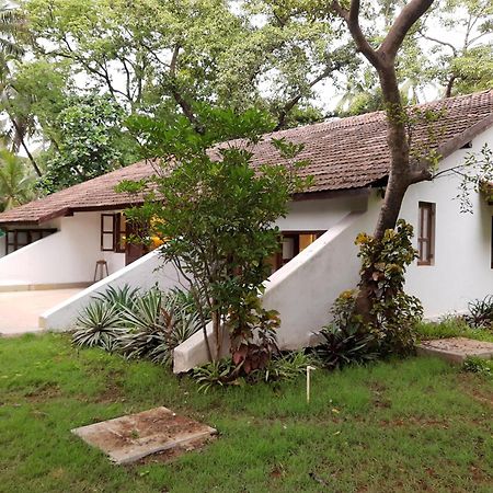 Banyan House - Luxurious 4 Bedroom Villa On One Acre, Near The Beach Nagaon  Ngoại thất bức ảnh