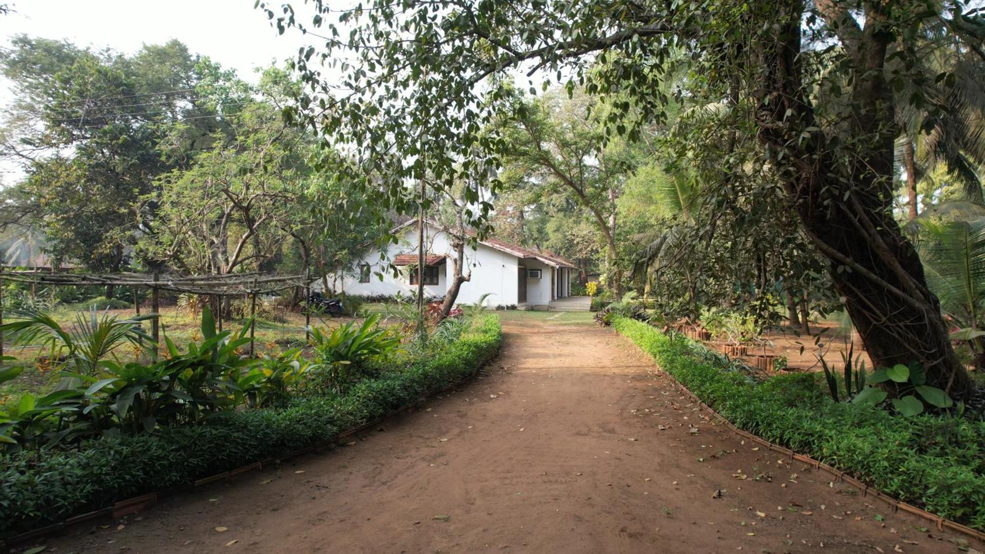 Banyan House - Luxurious 4 Bedroom Villa On One Acre, Near The Beach Nagaon  Ngoại thất bức ảnh