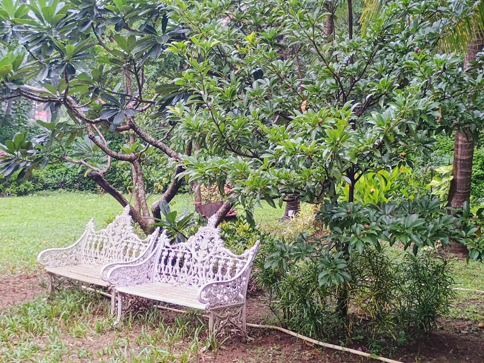 Banyan House - Luxurious 4 Bedroom Villa On One Acre, Near The Beach Nagaon  Ngoại thất bức ảnh